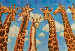 Everyone Has Their Own Spot